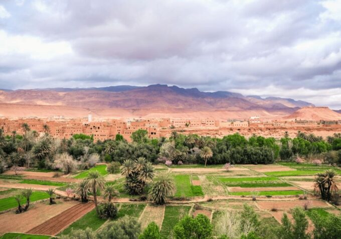 From Marrakech: 3-Day Desert Tour - Return to Marrakech