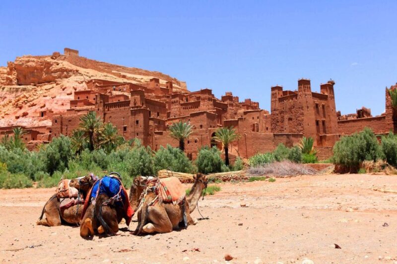 From Marrakech: 3 Day Desert Tour to Erg Chegaga - Itinerary Highlights