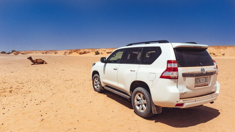 From Marrakech: 3 Day Desert Tour to Erg Chegaga - Inclusions