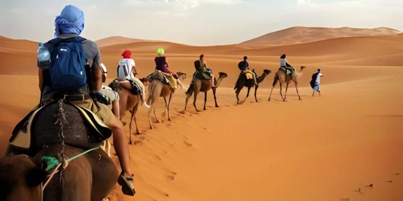 From Marrakech: 3-Day Desert Tour to Fes - Traversing the High Atlas Mountains