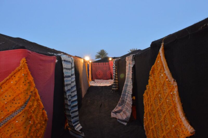From Marrakech: 3-Day Desert Tour to Fes - Customer Feedback Summary