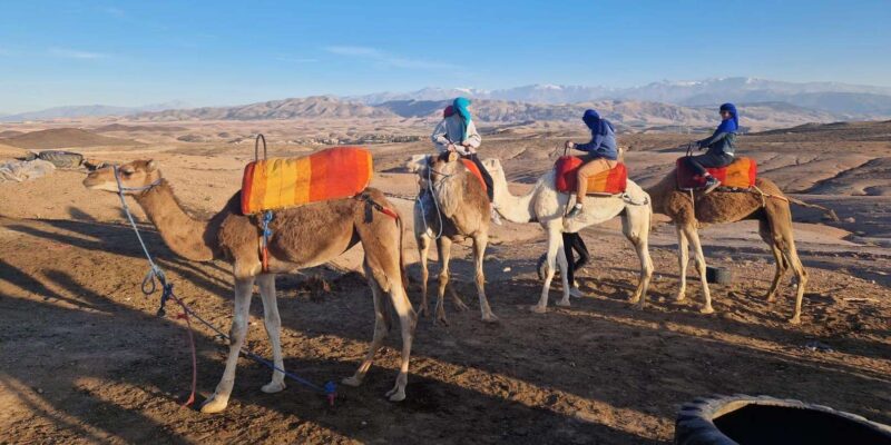 From Marrakech: 3-Day Desert Tour With Camel Ride - Pickup and Drop-off Locations