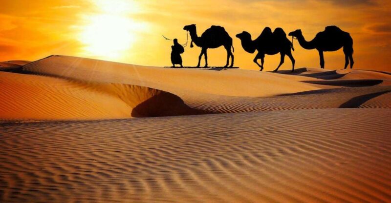 From Marrakech: 3 Day Desert Trip to Fes - Camel Trekking in the Sahara Desert