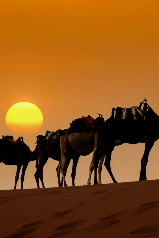 From Marrakech: 3-Day Desert Trip to Merzouga & Camel Trek - Tour Overview and Pricing