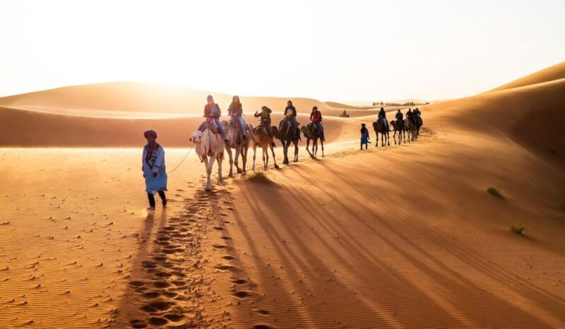 From Marrakech: 3-Day Luxury Desert Tour to Fes via Merzouga - Good To Know