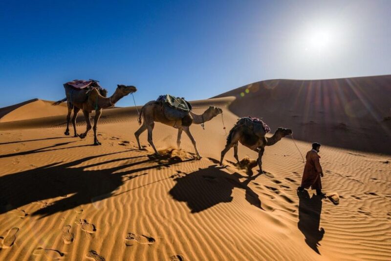 From Marrakech: 3-Day Luxury Desert Tour to Fes via Merzouga - Camel Ride in Erg Chebbi