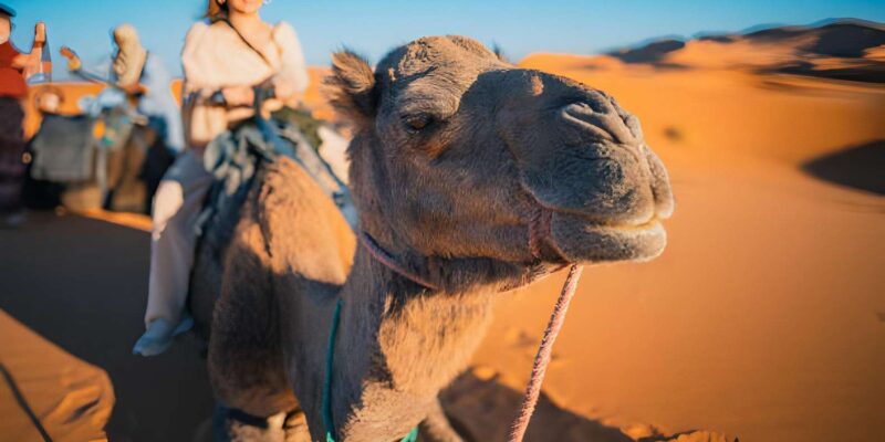 From Marrakech: 3-Day Marzouga Desert Tour With Camel Ride - Exploring the Atlas Mountains