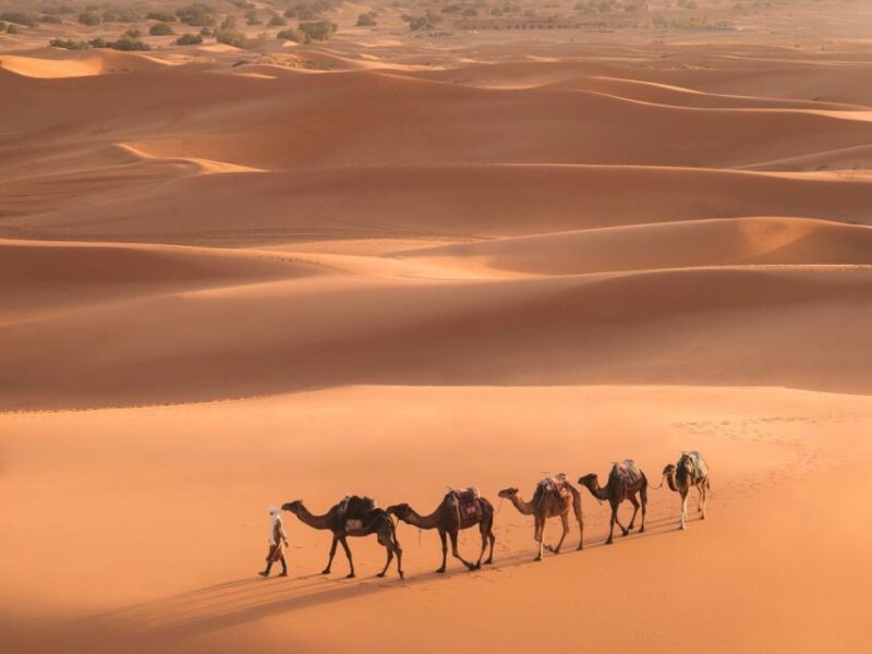 From Marrakech: 3-Day Merzouga and Sahara Desert Tour - Itinerary Highlights