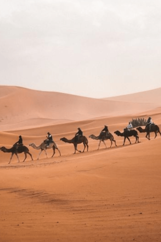 From Marrakech: 3 Day Merzouga Desert Trip With Camel Trek - Itinerary Highlights