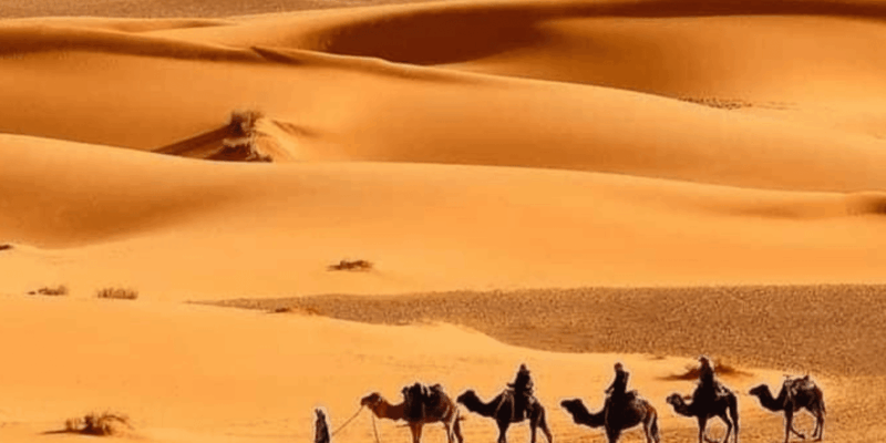 From Marrakech: 3 Day Merzouga Desert Trip With Camel Trek - Experience Features