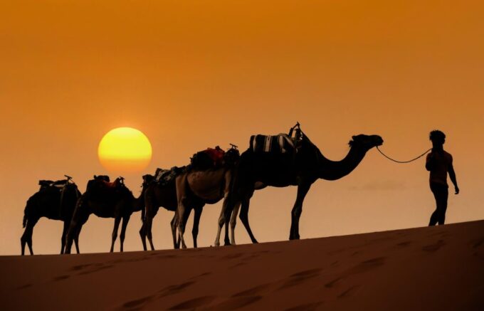 From Marrakech: 3-Day Merzouga Desert Trip With Camp Stay - Customer Feedback and Ratings