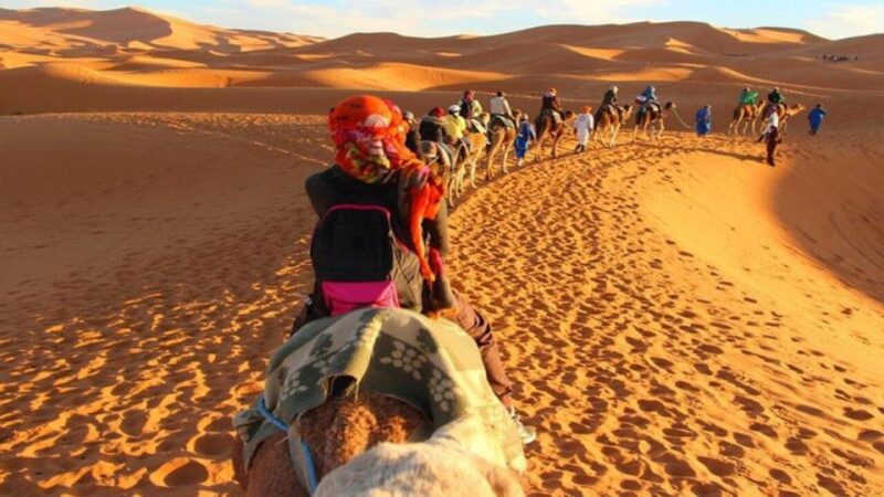 From Marrakech : 3-Day Sahara Desert Safari With Food & Camp - Inclusions and Experience
