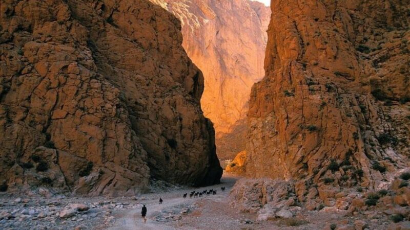 From Marrakech : 3-Day Sahara Desert Safari With Food & Camp - Important Information
