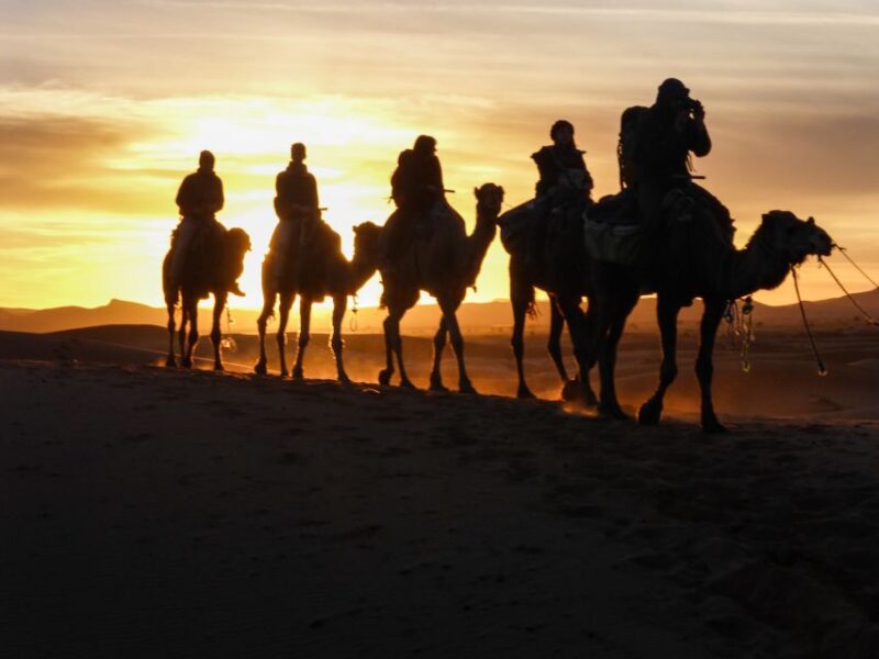 From Marrakech 3-Day Sahara Desert Trip to Merzouga - Trip Overview and Pricing