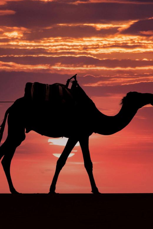From Marrakech: 3 Day to Fes Via Merzouga Desert Dunes - Good To Know