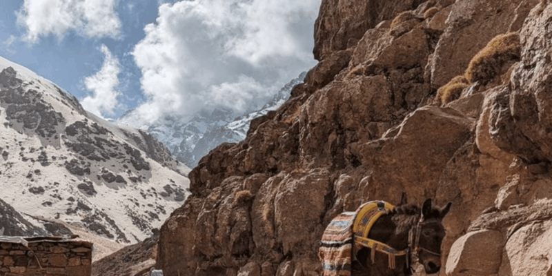 From Marrakech: 3-Day Toubkal Climbing - Good To Know