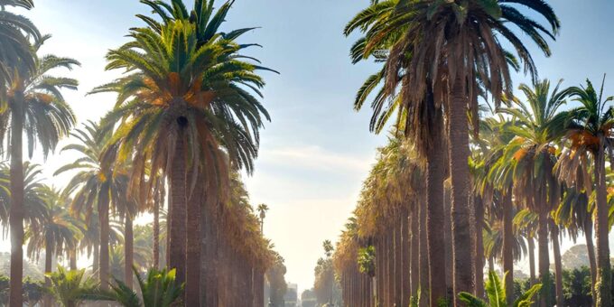 From Marrakech: 3-Day Tour of Moroccos Imperial Cities - Discovering the Wonders of Fez