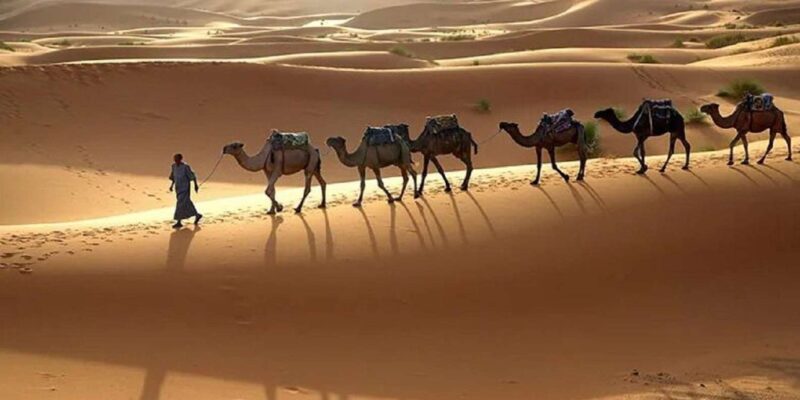 From Marrakech: 3-Day Tour to Merzouga and the Sahara Desert - Good To Know