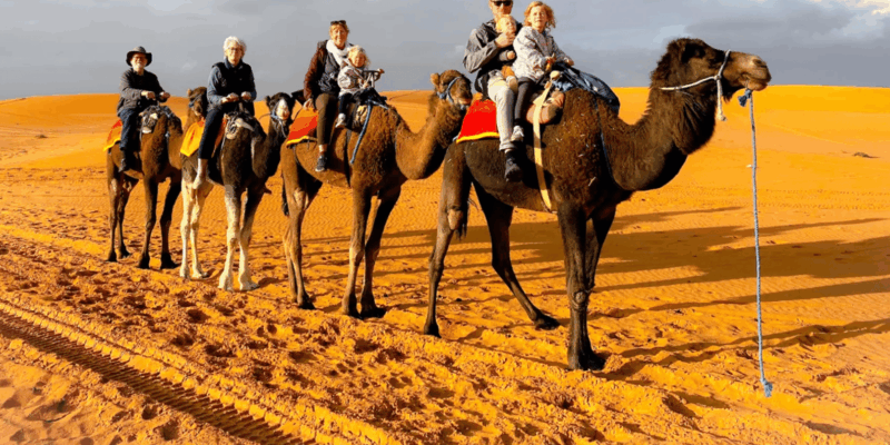 From Marrakech: 3 Day Tour To Merzouga Desert & Camel Trek - Customer Testimonials
