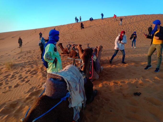 From Marrakech: 3-Day Trip to Fes via Merzouga Desert - Merzouga to Fes: Sunrise Camel Trek and Scenic Drive