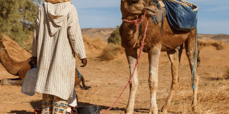 From Marrakech: 3-Day Trip to Fes via the Desert - Good To Know