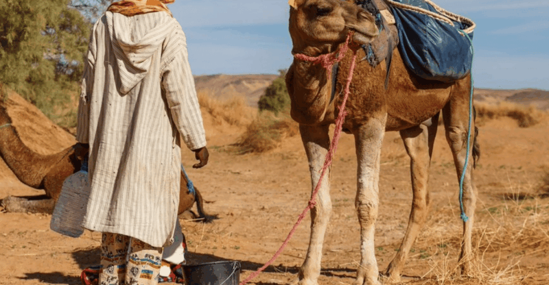From Marrakech: 3-Day Trip to Fes via the Desert - Exploring Tinghir and Surroundings