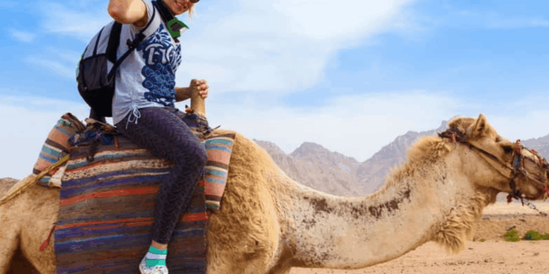 From Marrakech: 3-Day Trip to Fes via the Desert - Journey to the Merzouga Dunes