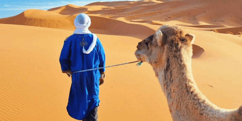 From Marrakech: 3-Day Trip to Fes via the Desert - Scenic Drive to Fes