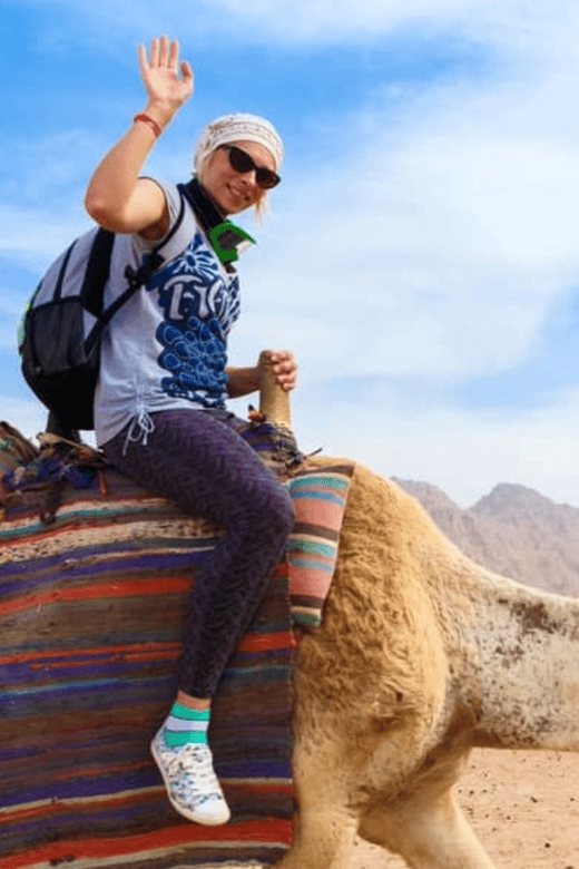 From Marrakech: 3-Day Trip to Fes via the Desert - Arrival and Accommodations in Fes