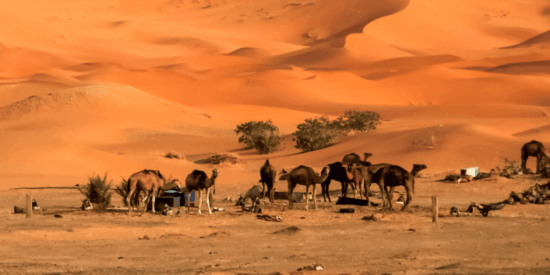 From Marrakech: 3-Day Trip to Fes via the Desert - Traditional Mountain Villages