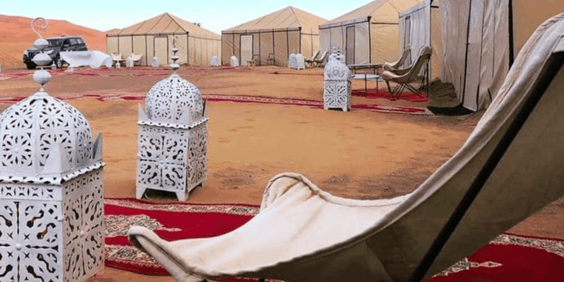 From Marrakech: 3-Day Trip to Fes via the Desert - Cedar Forest and Barbary Monkeys