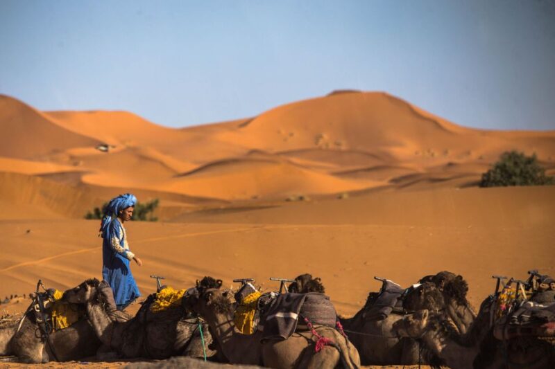 From Marrakech 3 Day Trip to Merzouga Desert W/ Camp Stay - Customer Reviews