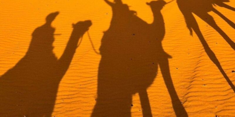 From Marrakech: 3DAY Merzouga Desert Drop off Marrakech/ Fes - Day 1: Marrakech to Dades Gorges