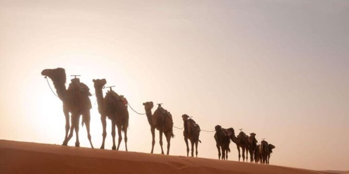 From Marrakech : 4-Day Desert Tour to Fes - Customer Reviews Breakdown
