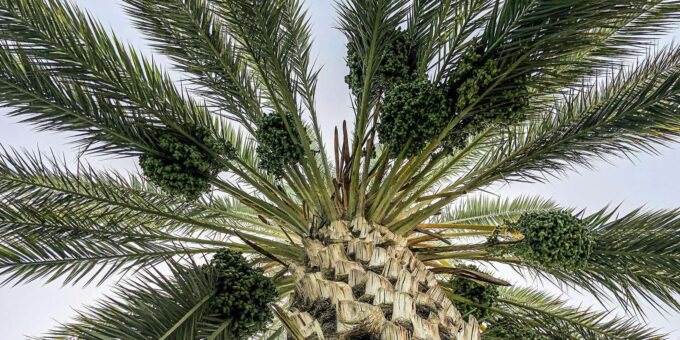 From Marrakech : 4-Days Private Trip To Agadir Via Desert - Inclusions and Information