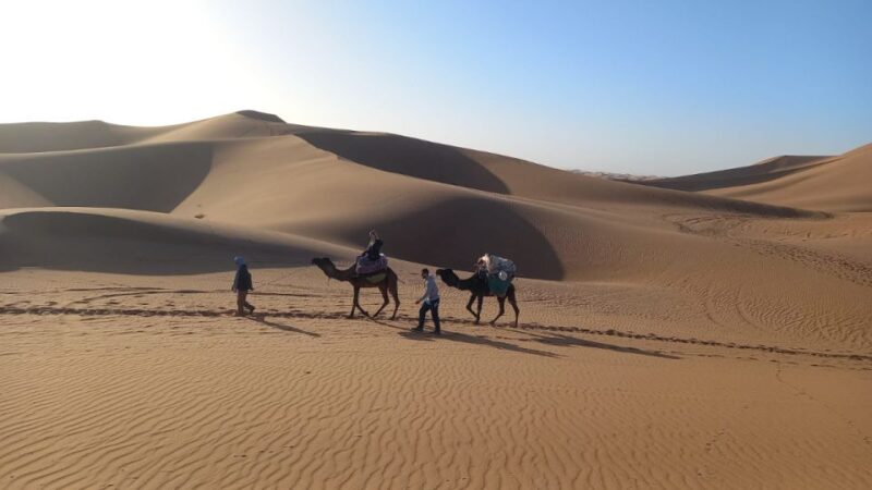 From Marrakech : 5-Day Exploring Tour to Erg Chebbi Desert - Good To Know