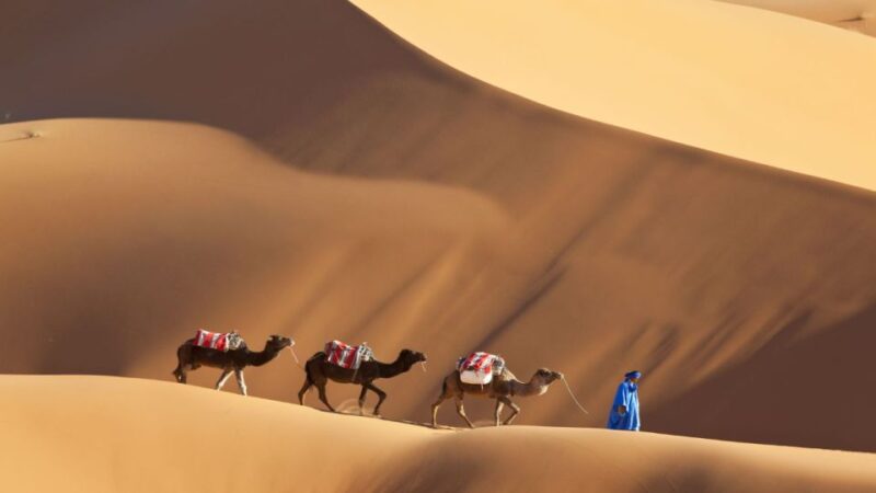 From Marrakech : 5-Day Exploring Tour to Erg Chebbi Desert - Highlights of the Exploration