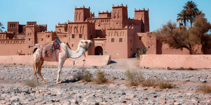 From Marrakech: 5 Days Tour From Marrakech Back Marrakech - What to Bring and Important Information