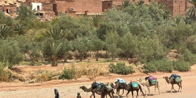 From Marrakech : 5-Days Tour To Merzouga Desert & Nomads - Good To Know