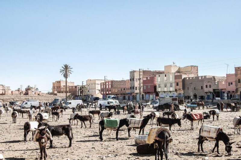 From Marrakech : 6 Days Sahara Desert Tour & Camel Ride - Good To Know