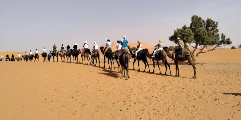 From Marrakech : 8-Days Tour To Morocco Imperial Cities - Good To Know