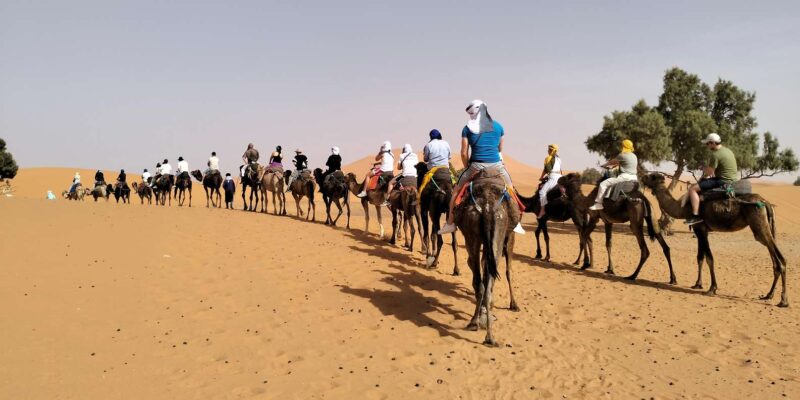 From Marrakech : 8-Days Tour To Morocco Imperial Cities - Discovering Casablanca and Rabat