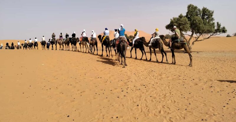 From Marrakech : 8-Days Tour To Morocco Imperial Cities - Exploring Meknes and Fes