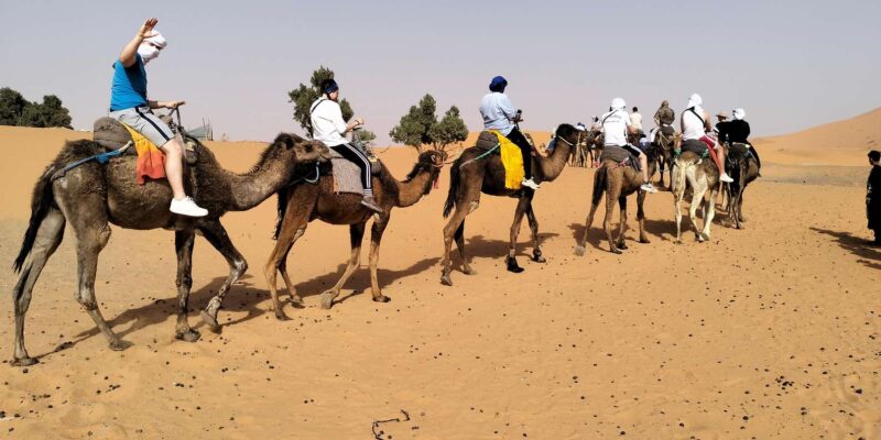 From Marrakech : 8-Days Tour To Morocco Imperial Cities - Taking in Volubilis and Middle Atlas