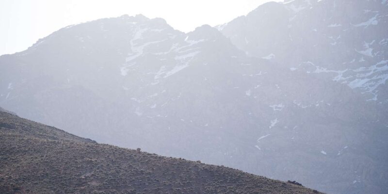 From Marrakech : A Day Trail Running In The Atlas Mountains - Exploring the Scenic Landscapes