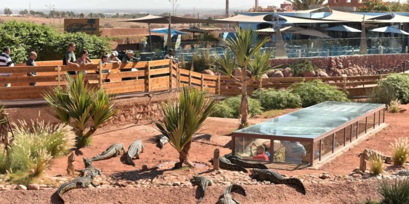 From Marrakech: Agadir Day Trip With Beach and Marina Visit - Exploring Agadir Beach and Marina