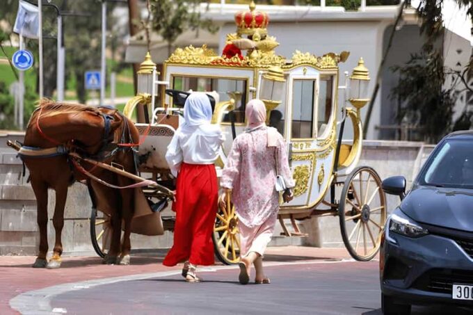 From Marrakech : Agadir Full Day Trip - Frequently Asked Questions