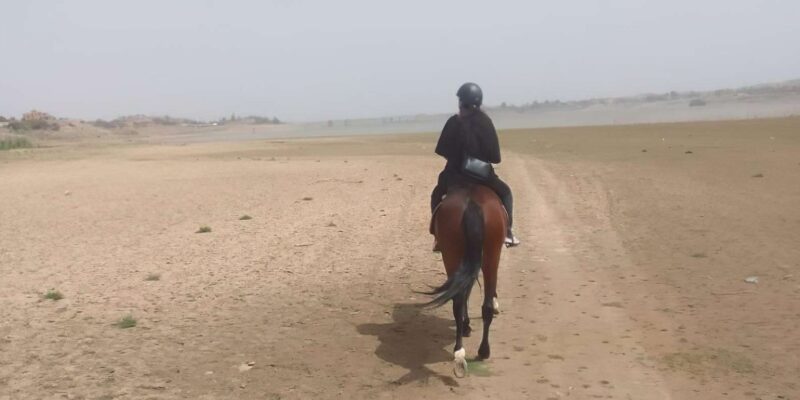 From Marrakech: Agafay Desert, Atlas Mountains by Horseback - Good To Know