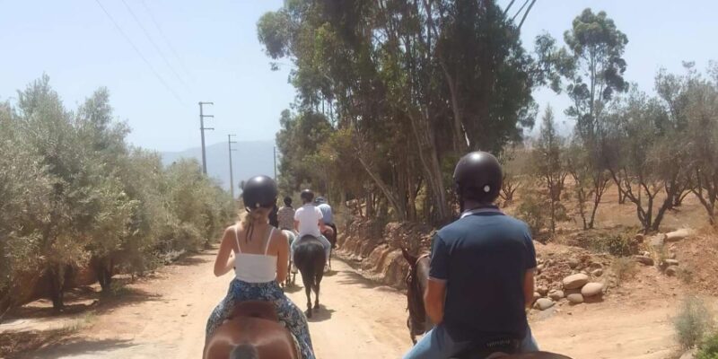 From Marrakech: Agafay Desert, Atlas Mountains by Horseback - Beginner-Friendly Horseback Riding Experience