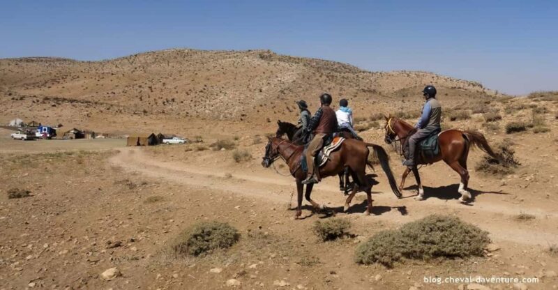 From Marrakech: Agafay Desert, Atlas Mountains by Horseback - Experienced Guides Ensuring Safety